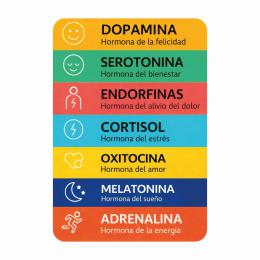 CALENDARIO DE BOLSILLO