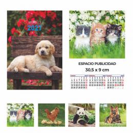 CALENDARIO DE PARED TRIMESTRAL