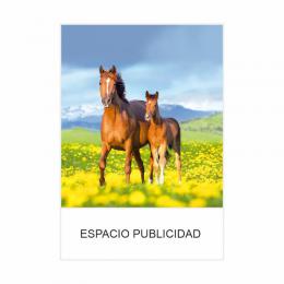 CALENDARIO PARED PEQUEÑO