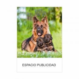 CALENDARIO DE PARED PEQUEÑO