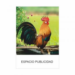 CALENDARIO PARED PEQUEÑO