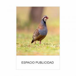 CALENDARIO DE PARED PEQUEÑO