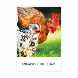 CALENDARIO PARED PEQUEÑO