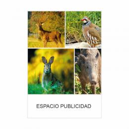 CALENDARIO DE PARED PEQUEÑO